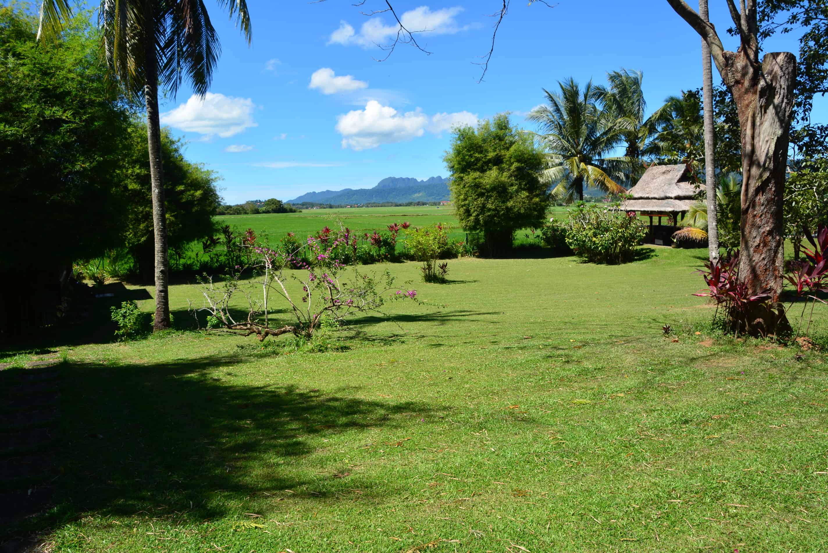 Sunset Valley Holiday Houses - Langkawi rice paddies